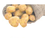 thumb1
